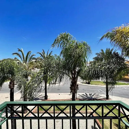 Appartement Palm Tree By Homing *