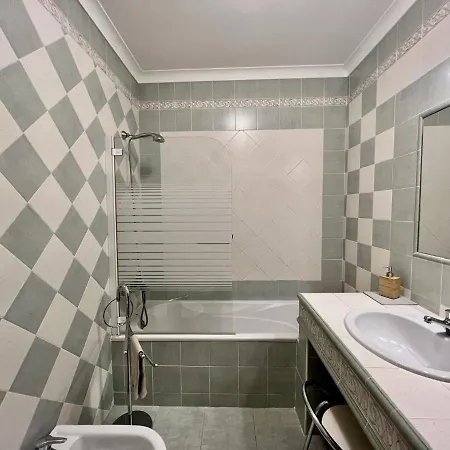 Palm Tree By Homing *