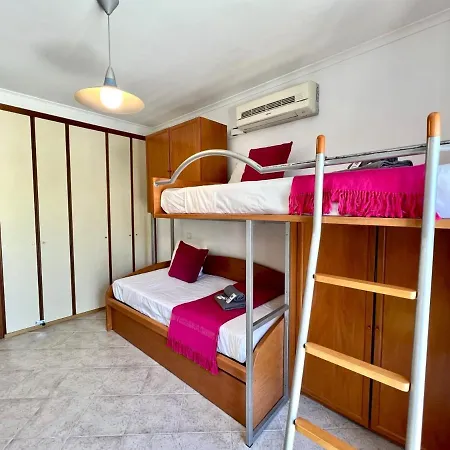 Palm Tree By Homing *